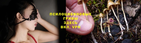 мяу мяу мука Михайловка